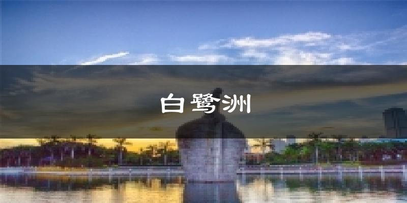 白鹭洲天气预报十五天