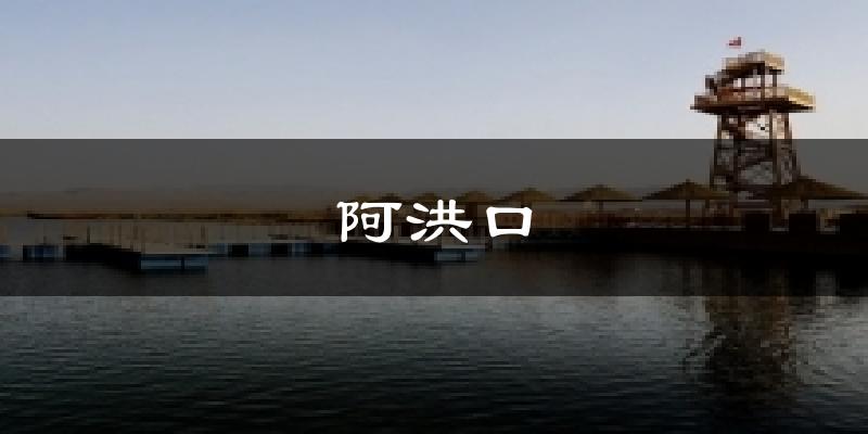 阿洪口今日天气