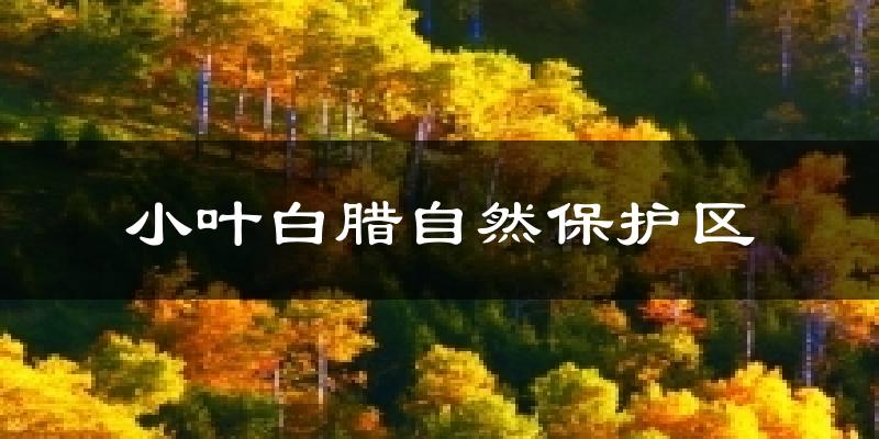 小叶白腊自然保护区天气预报十五天