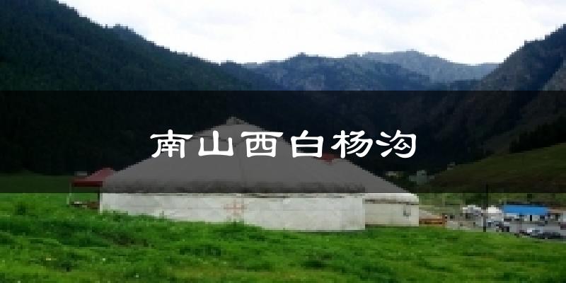 南山西白杨沟气温