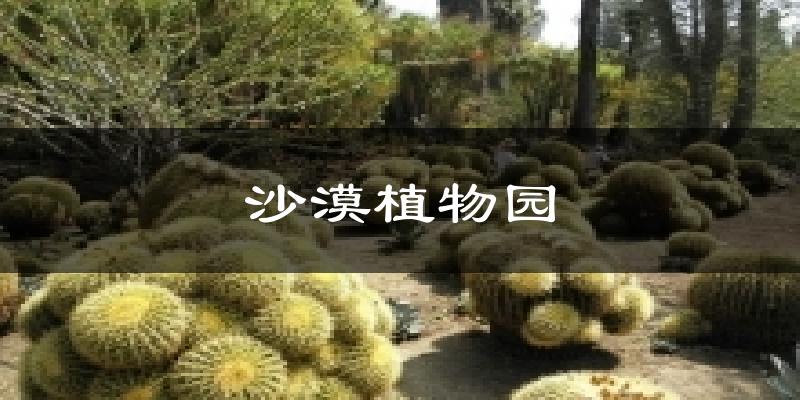 沙漠植物园天气预报十五天