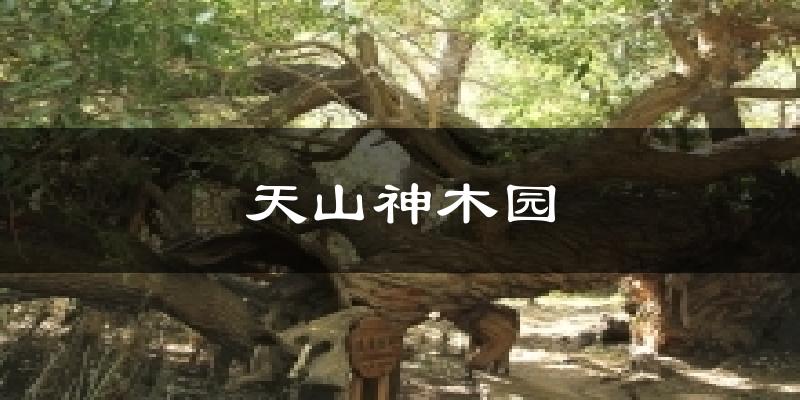 温宿天山神木园天气预报未来一周