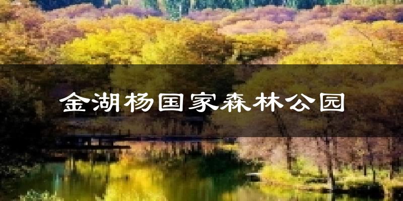 金湖杨国家森林公园今日天气