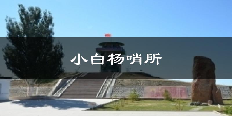 小白杨哨所气温