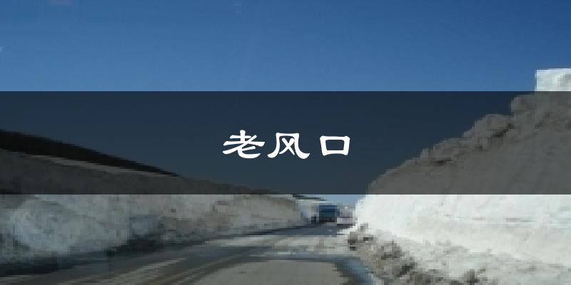 老风口天气预报十五天