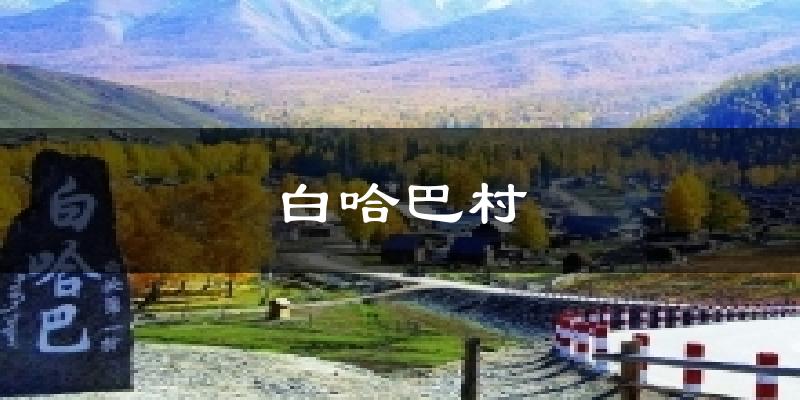 白哈巴村天气预报十五天